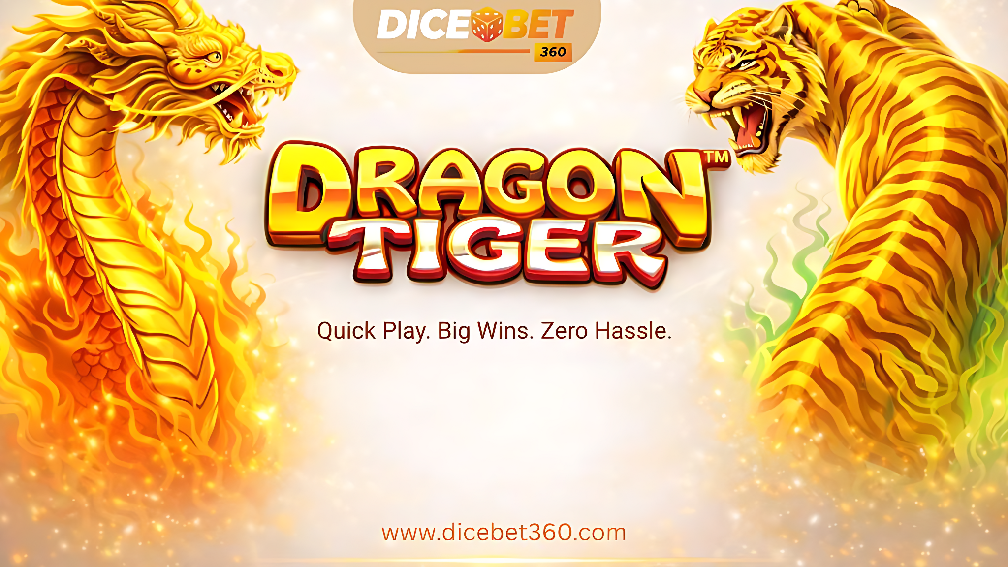 beginner-guide-betting-provider & IPL ID 2025